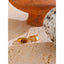 Yhpup 7 #   Anel aberto de fundição de aço inoxidável, pedra de concha de tigre natural, fritilary, joias da moda para mulheres, novo